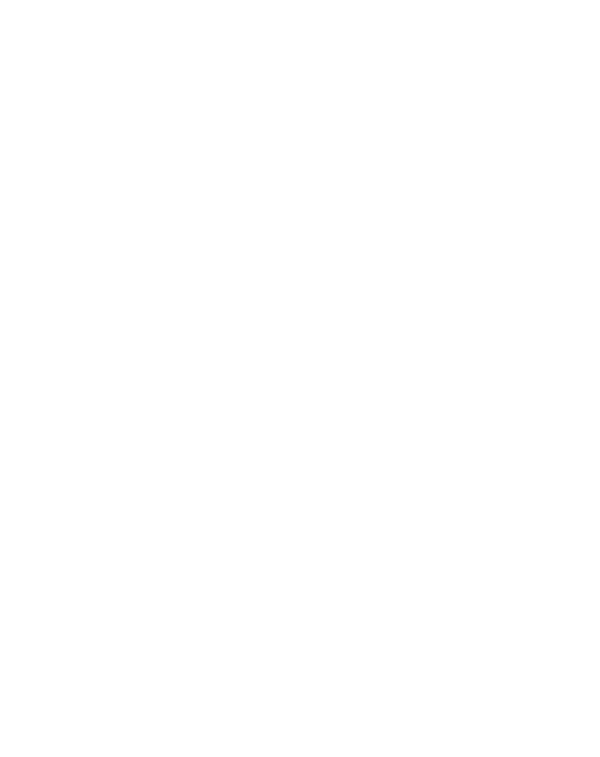 Cyber Bellerezh
